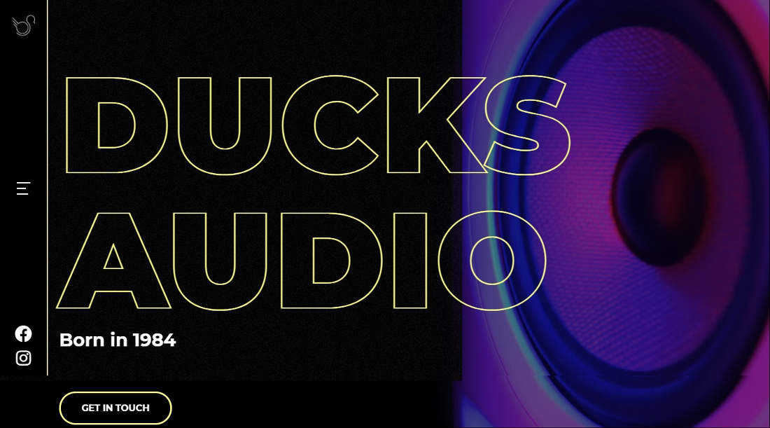 ducks audio-HALF page-portfolio1100